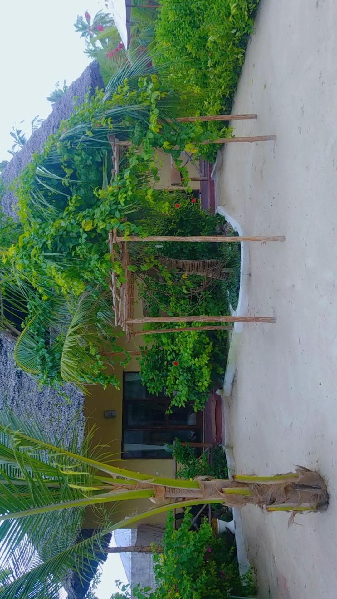 Amber Lodge Pongwe Exterior foto
